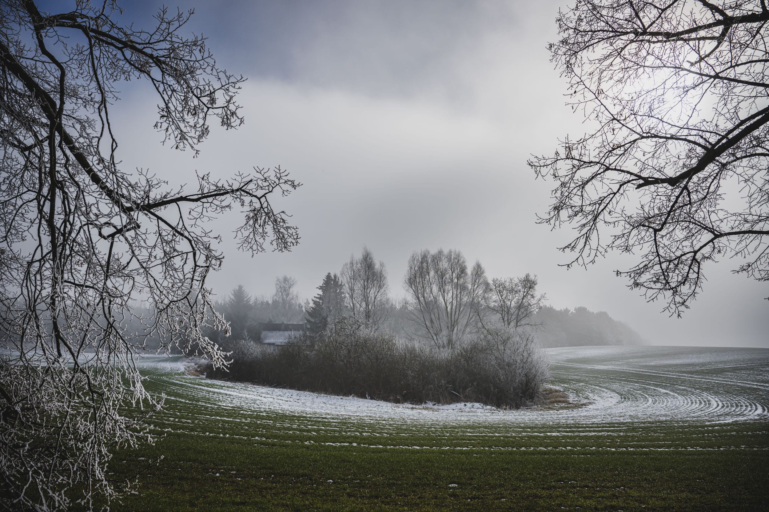 Winterlandschaft in Mecklenburg-Vorpommern – Raureif auf kahlen Ästen, verschneites Feld im Morgennebel