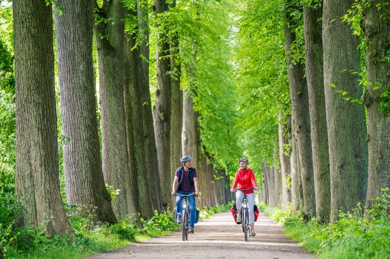 Baumallee Schlossgarten Eutin mit Bikerpaar emotionale Tourismusfotos aus Schleswig-Holstein von einem Paar auf Fahrrädern, die durch eine schöne Baumallee im Schlossgarten Eutin fahren.