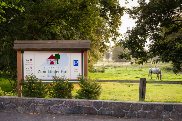 Landlust Landurlaub Hotelfotoshooting Pferd Wiesen Niedersachsen