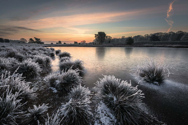 vereiste Moorlandschaft in der Lüneburger Heide