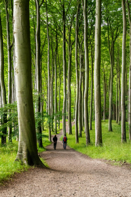 Fotostory, Mecklenburg-Vorpommern, Sommer, Deutschland, Fotograf, Fotoproduktion, Mecklenburg-Vorpommern, Sommer, Fotoshooting, Deutschland, Fotograf, Martiem Fotografie