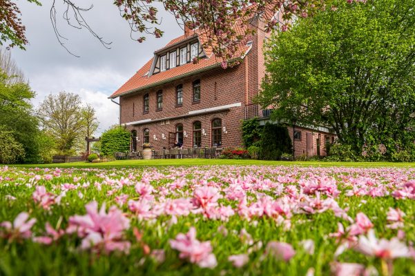 Frühlingsstimmung im Garten LandHaus "zum Lindenhof" Hotelfoto vom Außenbereich des LandHaus "Zum Lindenhof". Frühlingsblumen liegen auf dem Boden. Im Hintergrund steht das LandHaus