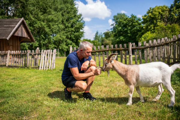 Hotel Fotoshooting, Hotelfotograf, Mecklenburg-Vorpommern, Deutschland, Hotelfotos, Tourismus, Werbefotos
