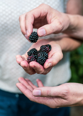 Fotoproduktion, Mecklenburg-Vorpommern, Sommer, Fotoshooting, Deutschland, Fotograf