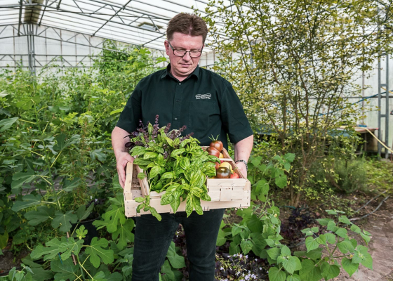 Fotoproduktion, Mecklenburg-Vorpommern, Sommer, Fotoshooting, Deutschland, Fotograf