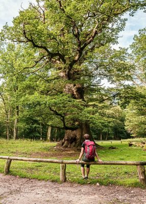 Fotoproduktion, Mecklenburg-Vorpommern, Sommer, Fotoshooting, Deutschland, Fotograf