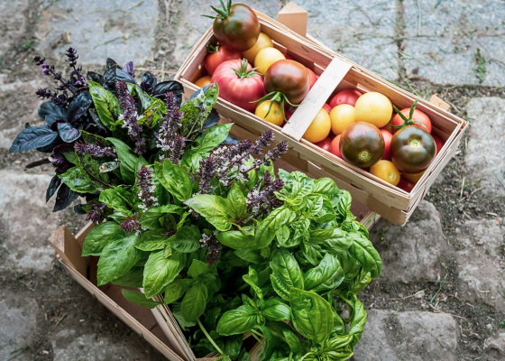 Fotoproduktion, Mecklenburg-Vorpommern, Sommer, Fotoshooting, Deutschland, Fotograf, Fotoproduktion, Mecklenburg-Vorpommern, Sommer, Fotoshooting, Deutschland, Fotograf, Martiem Fotografie