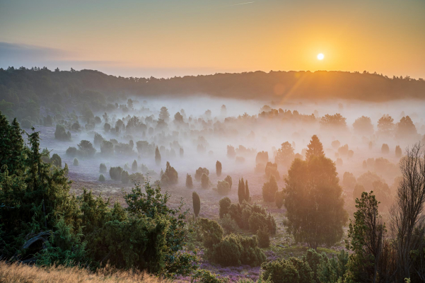 Landschaftsfoto, Norddeutschland, Fotokunst für die Wand, Fineart-Print, Reisefoto, Reisefotograf