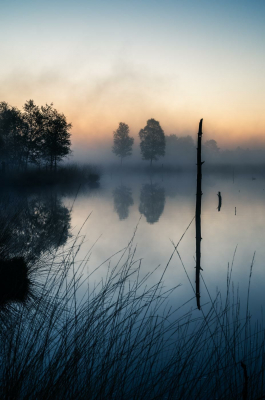 Fotokunst für die Wand, Niedersachsen, Lüneburger Heide, Landschaftsfotografie, AluDibond, Fineart-print, edler Fotodruck, Fotoproduktion, Mecklenburg-Vorpommern, Sommer, Fotoshooting, Deutschland, Fotograf, Martiem Fotografie