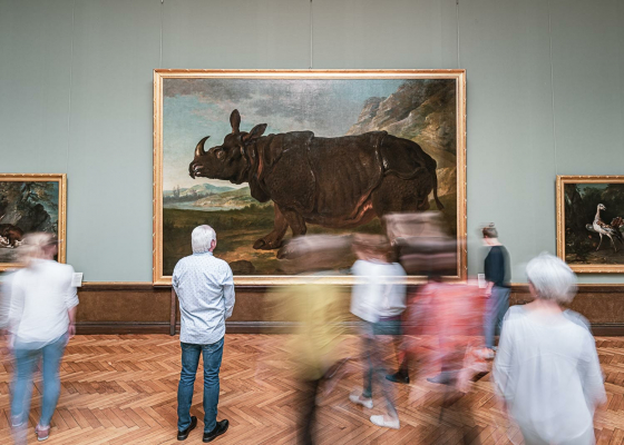 Fotoproduktion, Mecklenburg-Vorpommern, Sommer, Fotoshooting, Deutschland, Fotograf, Martiem Fotografie