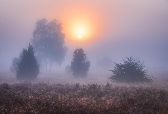 Landschaftsfotografie, Norddeutschland, Fotokunst für die Wand, Fineart-Print, Reisefoto, Reisefotograf