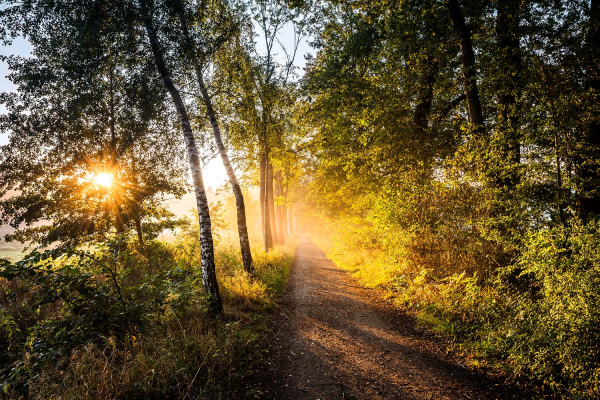 Landschaftsfotografie, Fineart-Foto, Kunst für die Wand, Fotokünstler, Norddeutschland