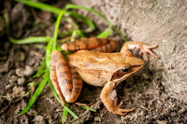 Fotostory, Mecklenburg-Vorpommern, Sommer, Deutschland, Fotograf, Fotoproduktion, Mecklenburg-Vorpommern, Sommer, Fotoshooting, Deutschland, Fotograf, Martiem Fotografie