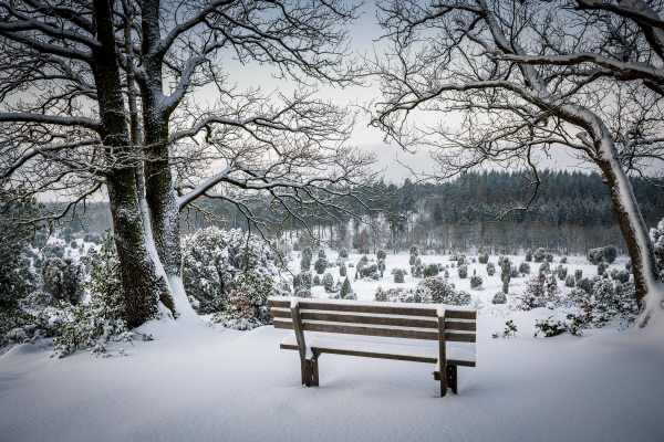 Landschaftsfoto, Norddeutschland, Fotokunst für die Wand, Fineart-Print, Reisefoto, Reisefotograf