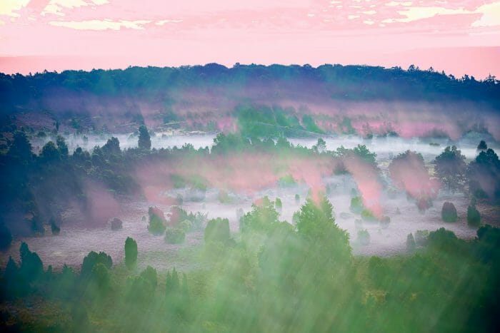 künstlerische Fotografie einer norddeutschen Heidelandschaft in der Lüneburger Heide von MarTiem Fotografie - aussagekräftige Fotos für Ihr Unternehmen aus Tourismus, Reise, Hotellerie, Architektur und Kunst